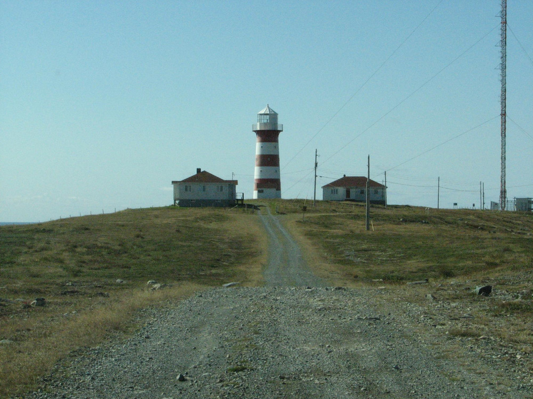 Cape Pine Lighthouse景点图片