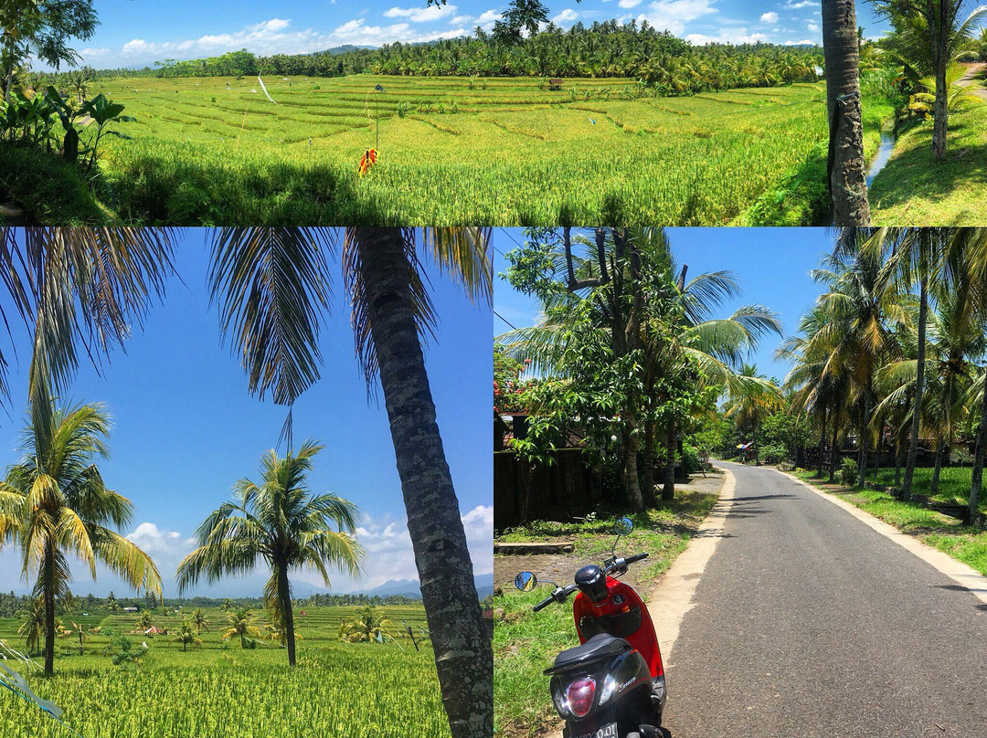Medewi Surf Homestay