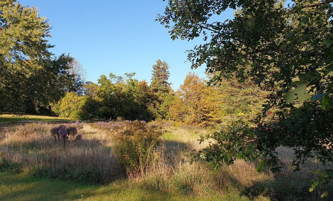 Proctor Park Conservation Area景点图片
