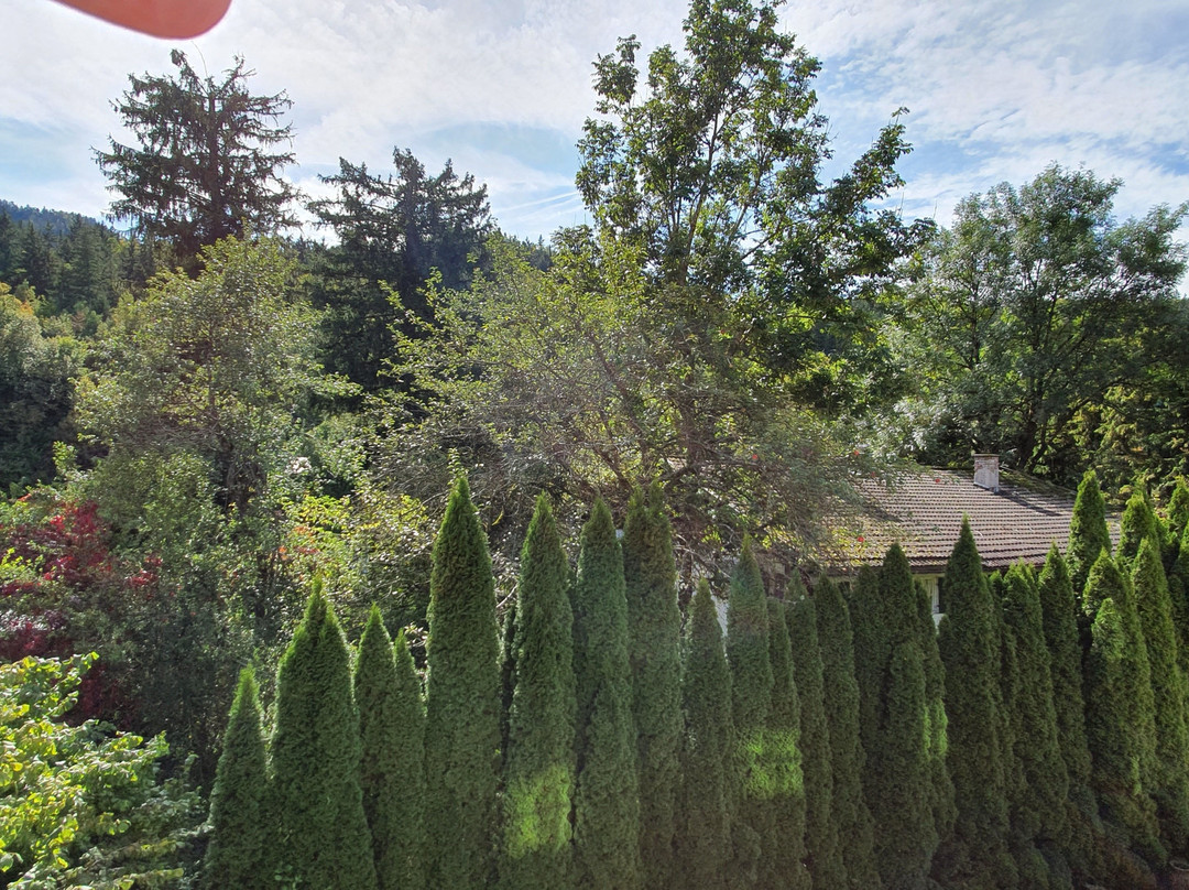 拜德法勒巴赫酒店主图