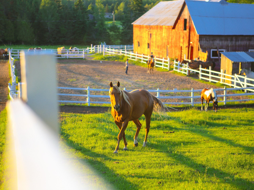 Equita Ranch-Cantley必去景点