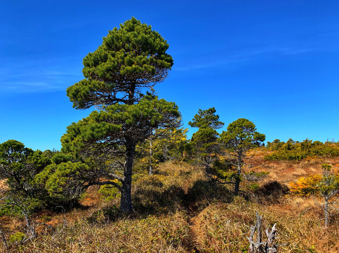 White Creek Trail景点图片