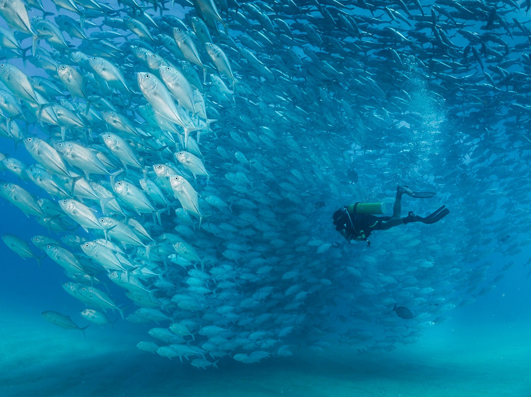 Cabo Pulmo Travel-Cabo Pulmo必去景点