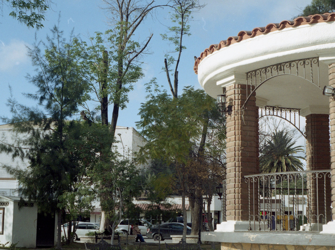 Parque Miguel Hidalgo景点图片