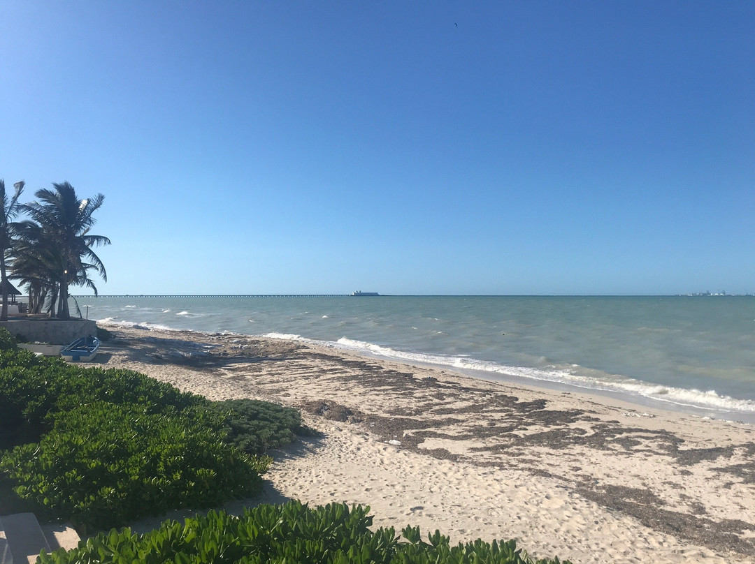 Progreso旅游景点-Malecón de Progreso