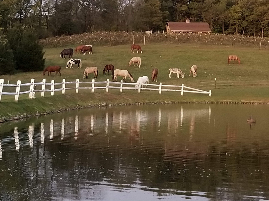 Guggisberg Swiss Inn主图