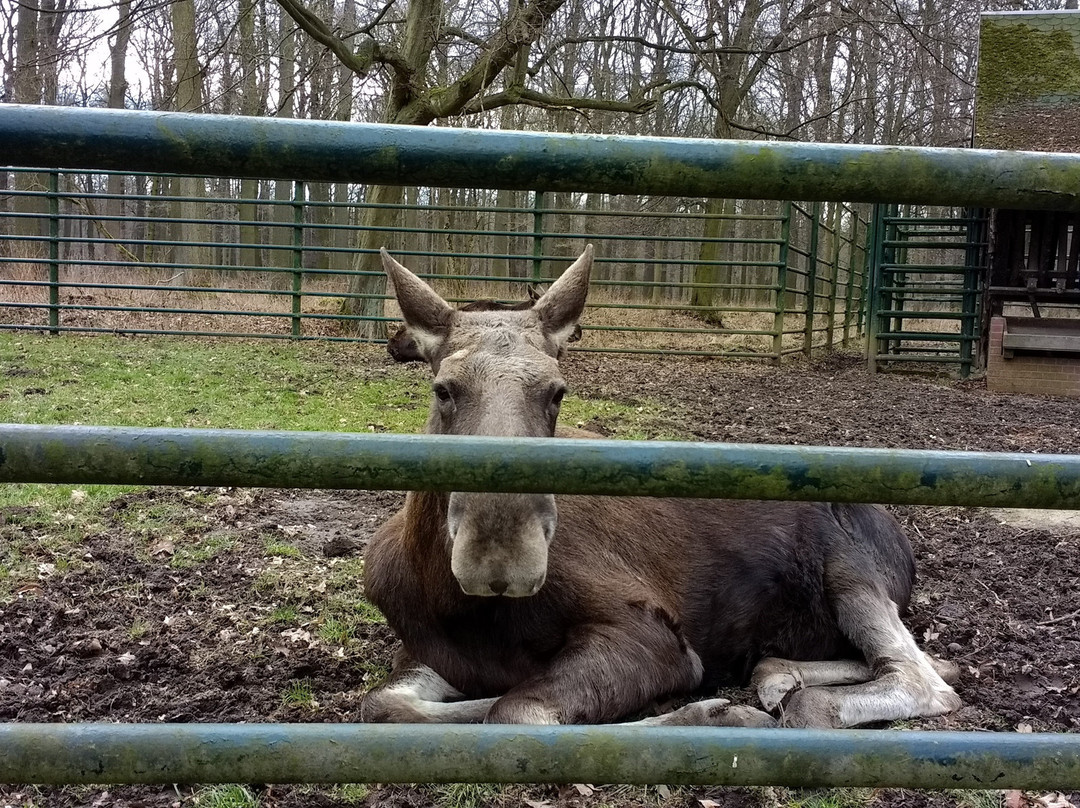 Wildpark Leipzig景点图片