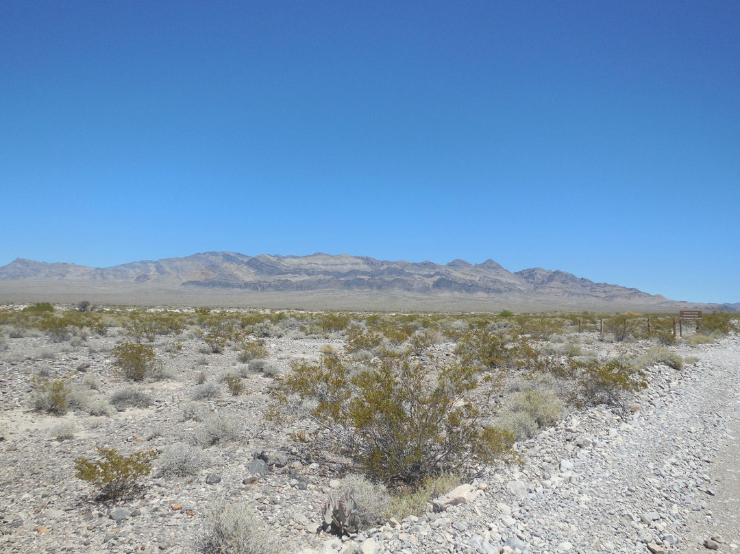 Indian Springs旅游景点-国家沙漠野生动物保护区