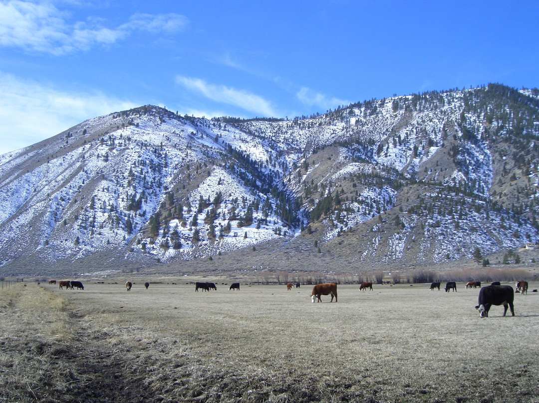 Dangberg Home Ranch Historic Park景点图片