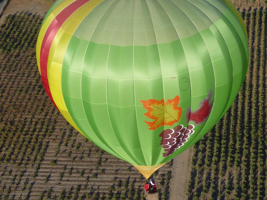 Wine Country Balloons景点图片