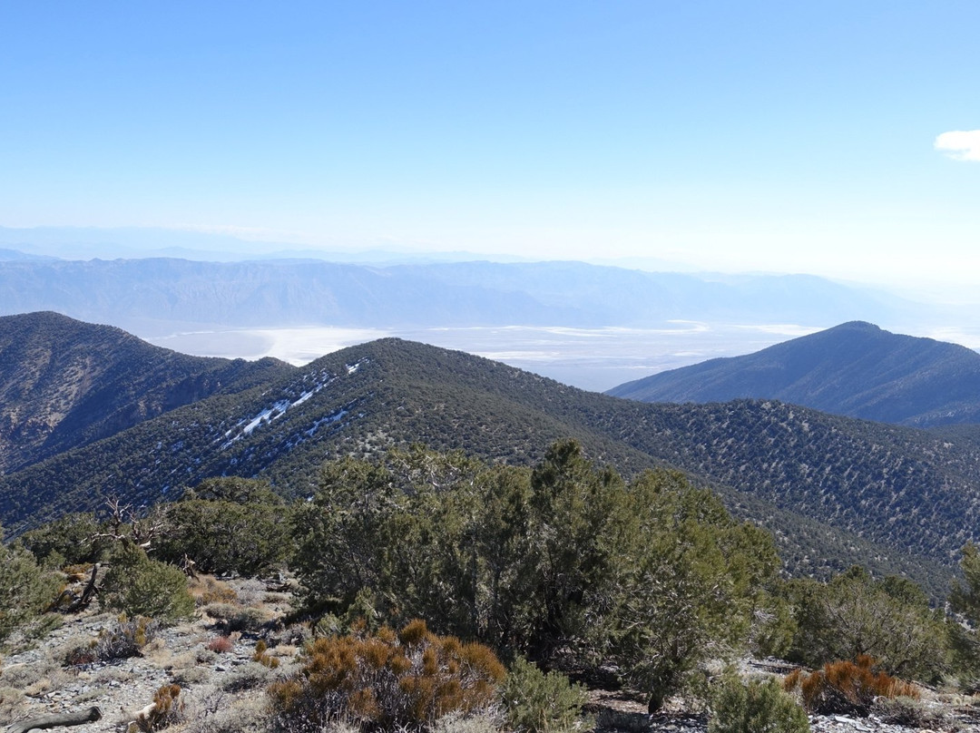 Wildrose Peak Trail-死亡谷国家公园必去景点
