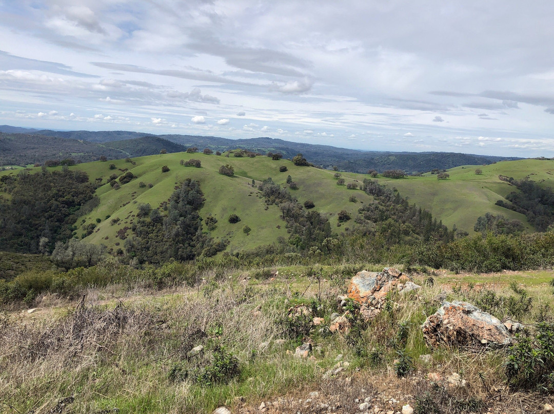 Georgetown旅游景点-Jose Wine Caves