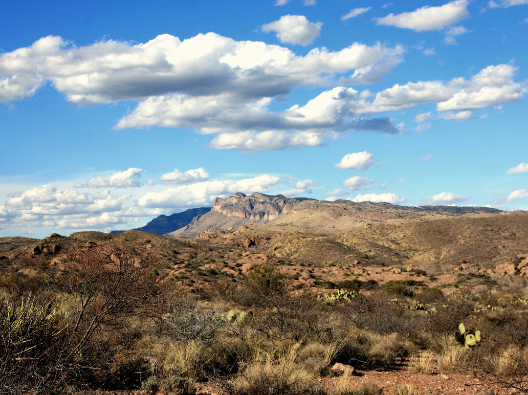 Willcox旅游景点-Muleshoe Ranch Preserve