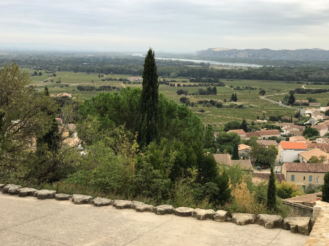 Chateau de Pape Jean XXII景点图片