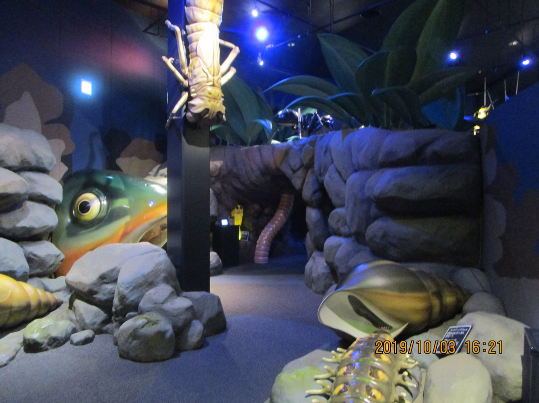 The Firefly Museum of Toyota Town-下关市必去景点