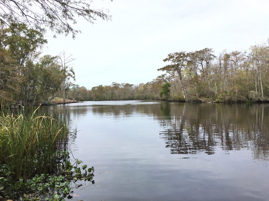 Myrtle Beach Paddle Board & Kayak Adventures-美特尔海滩必去景点
