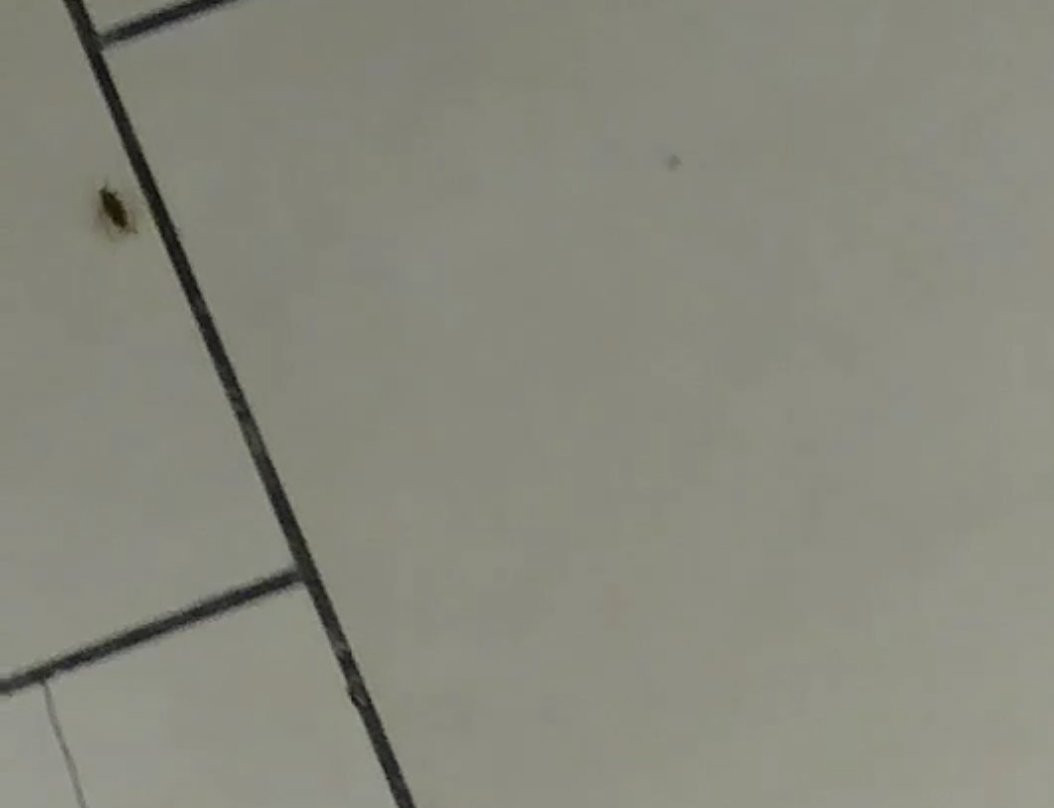 Westfield Trumbull Mall-特兰伯尔必去景点