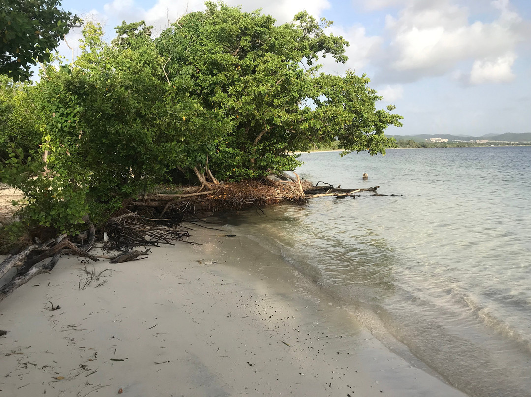 Playa Los Machos-Ceiba必去景点