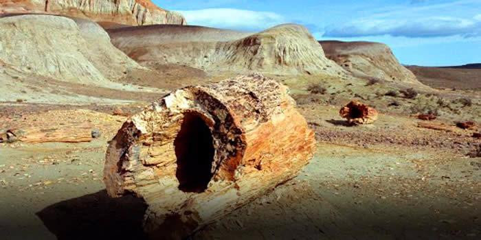 萨米恩托旅游景点-Bosque Petrificado Jose Ormachea