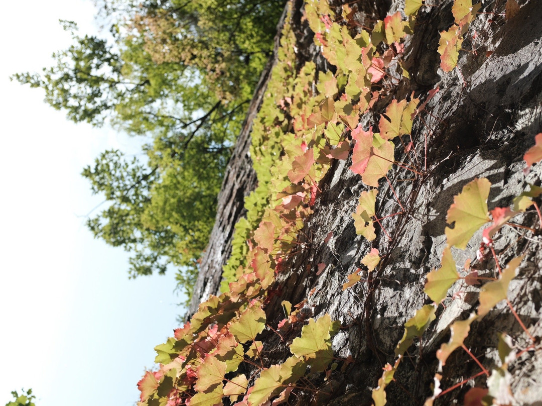 Cheongnyangsa Temple-奉化郡必去景点