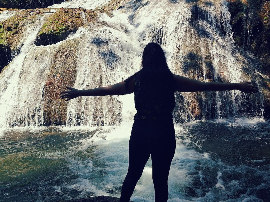 Serra da Bodoquena Waterfalls景点图片