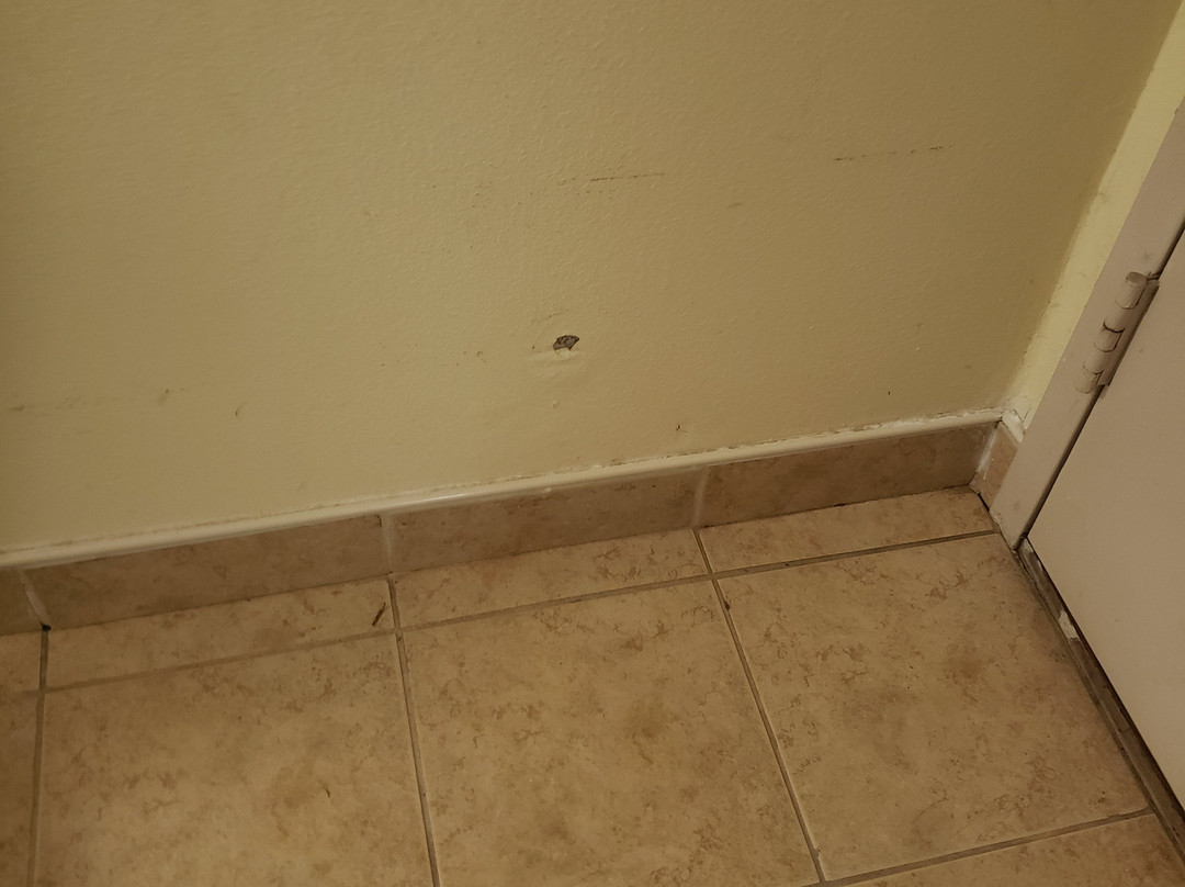 Baymont by Wyndham Griffin主图