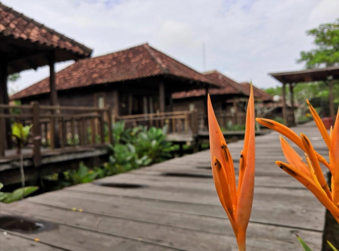 栀子花度假村主图