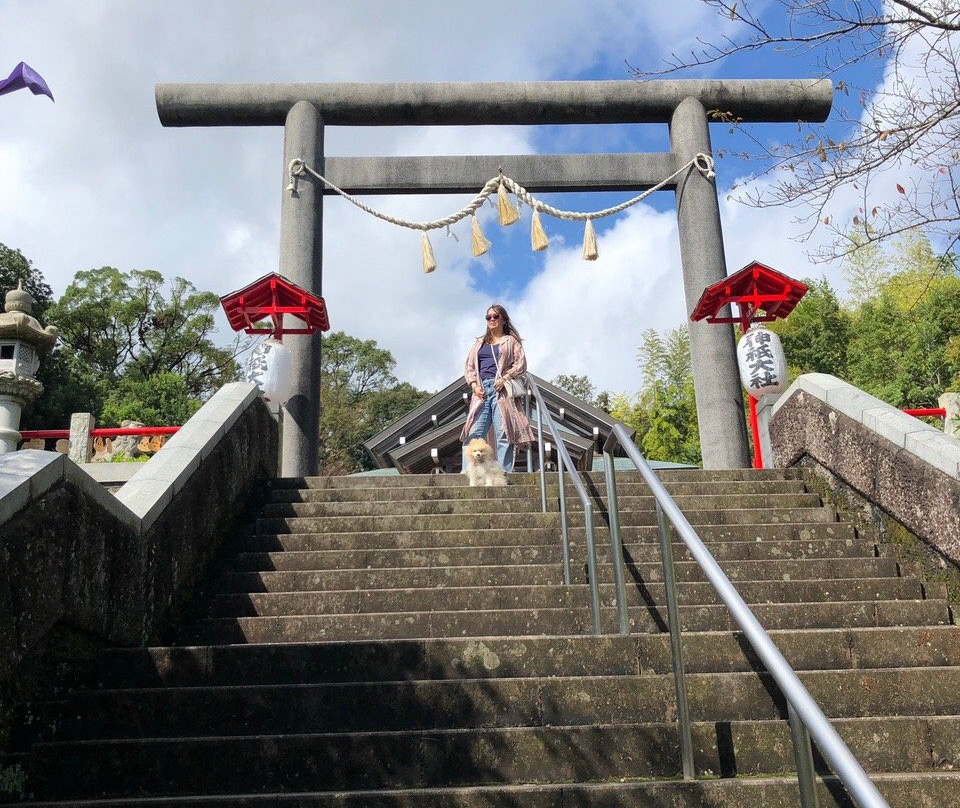 Jingi Taisha Shrine景点图片