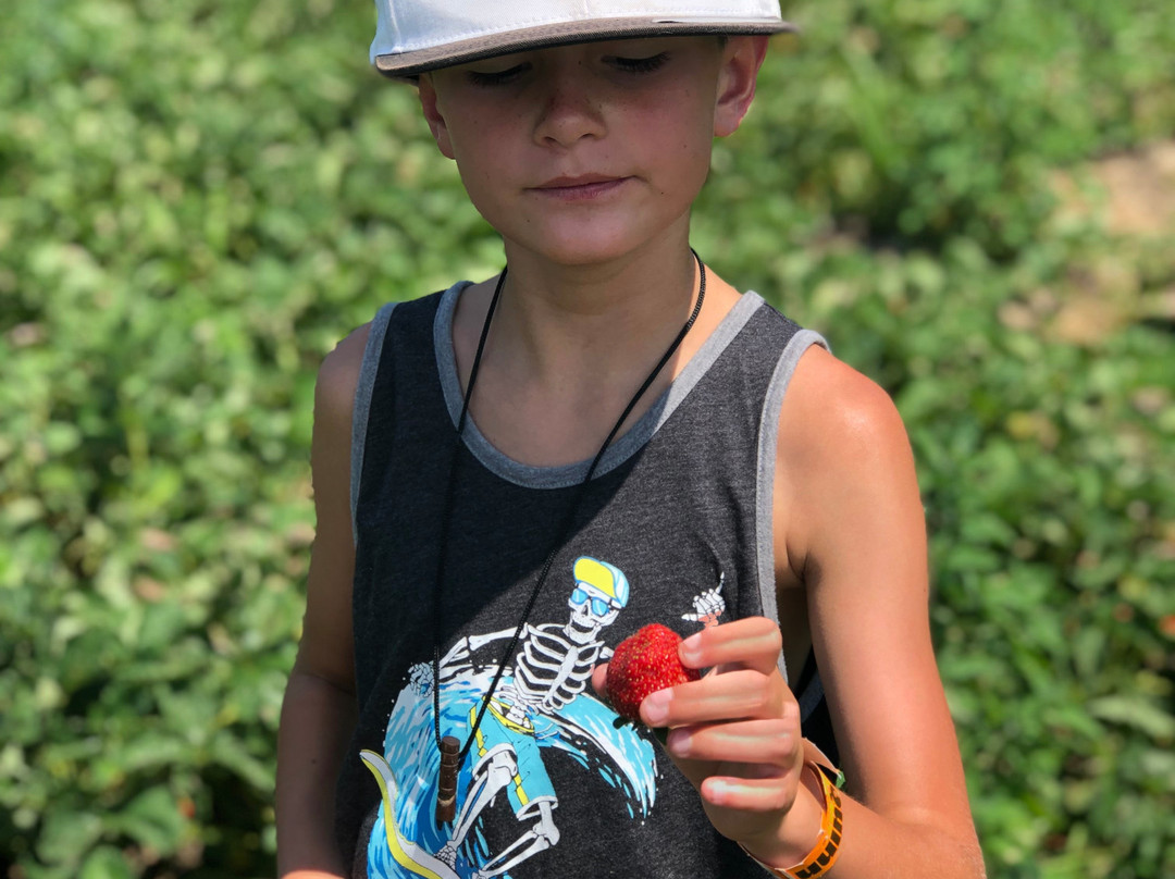 Quinn Farm-Notre-Dame-de-l'Ile-Perrot必去景点