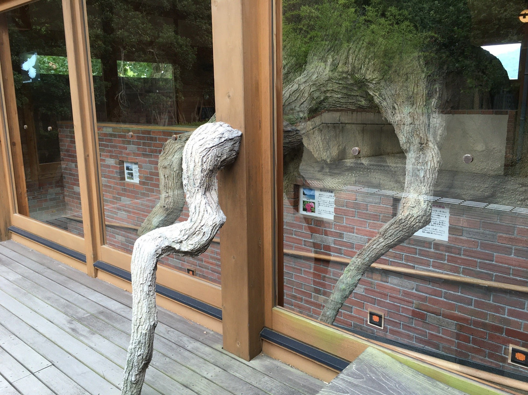 Okunoshima Island Visitor Center-竹原市必去景点