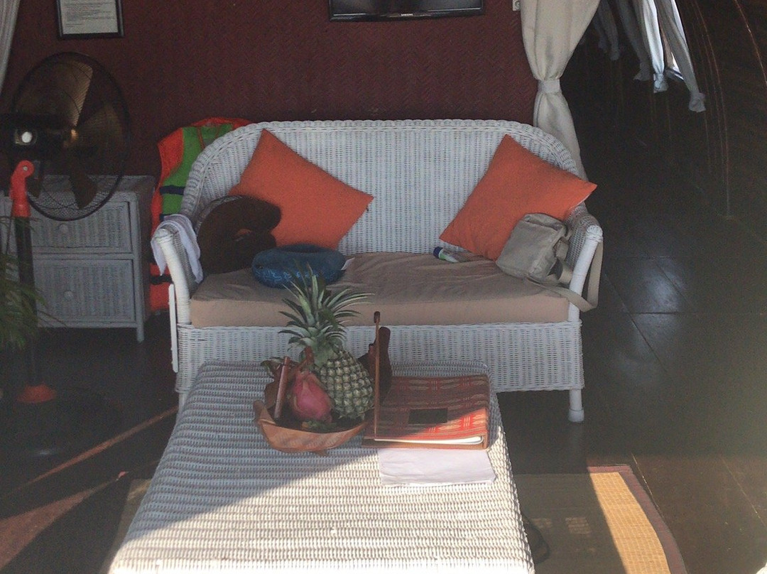 Indochina Treks - Luxury Private Mekong Day Cruise-芹苴必去景点