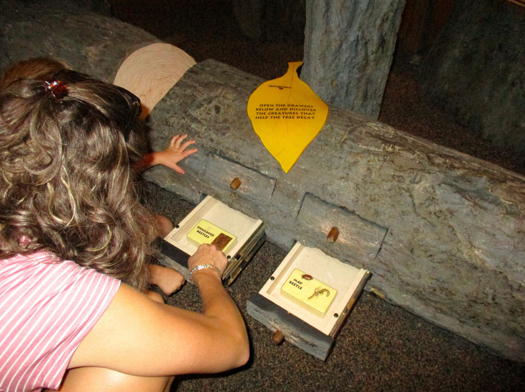 Anniston Museum of Natural History景点图片