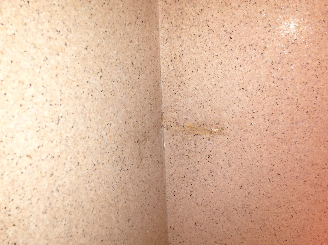 Candlewood Suites Texas City by IHG主图