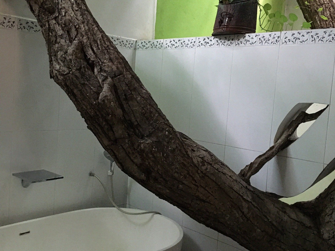 Colombo Tree House主图