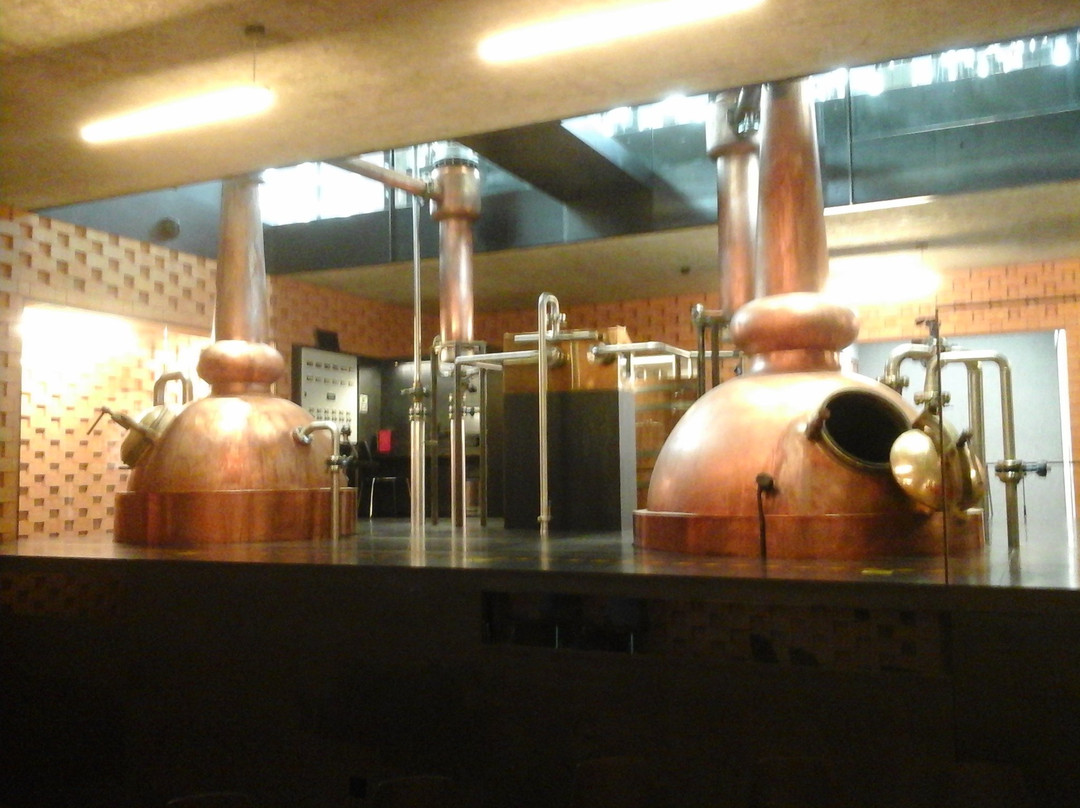 PUNI Distillery景点图片