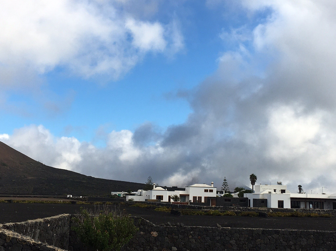 Ecofinca Olivina主图