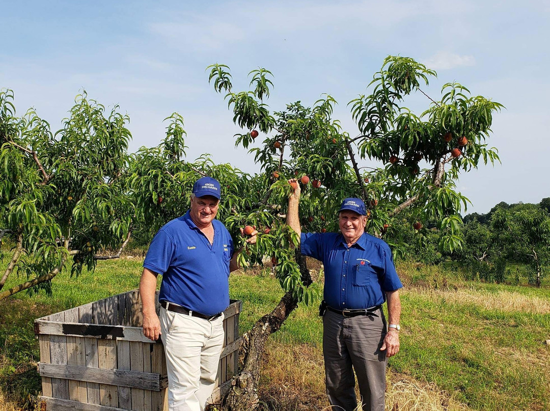 A.J. Gross & Sons Orchard-Bedford必去景点