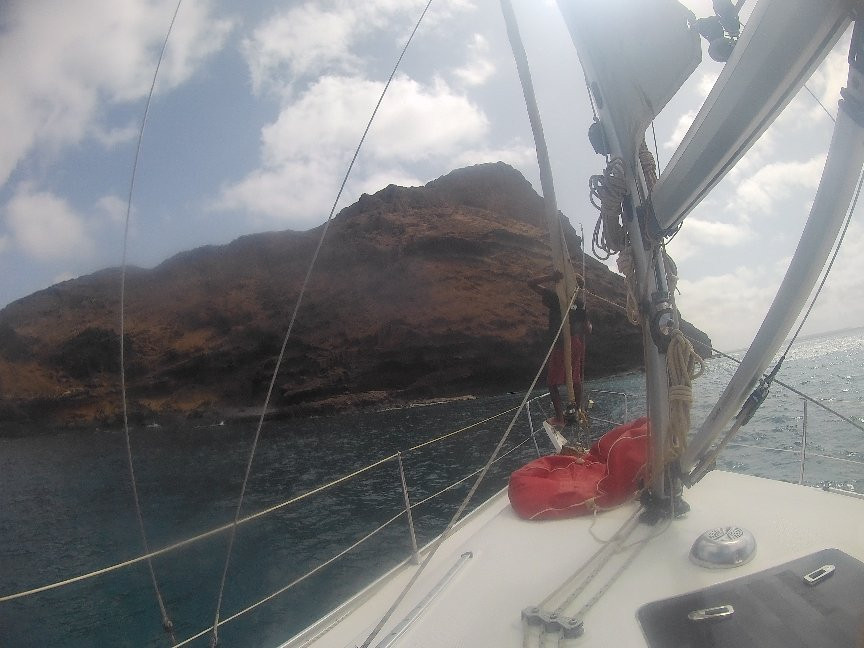 Sal Sea Safari-圣塔玛丽亚必去景点