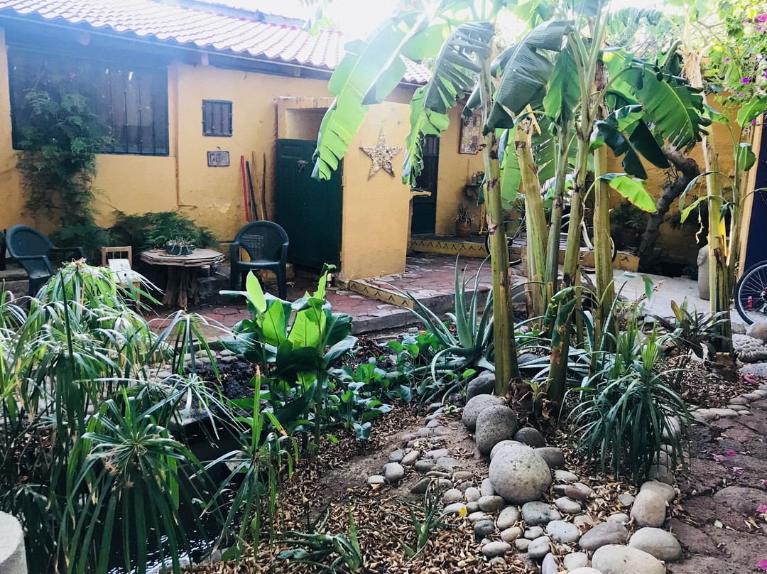 Casa Leree-San Ignacio必去景点