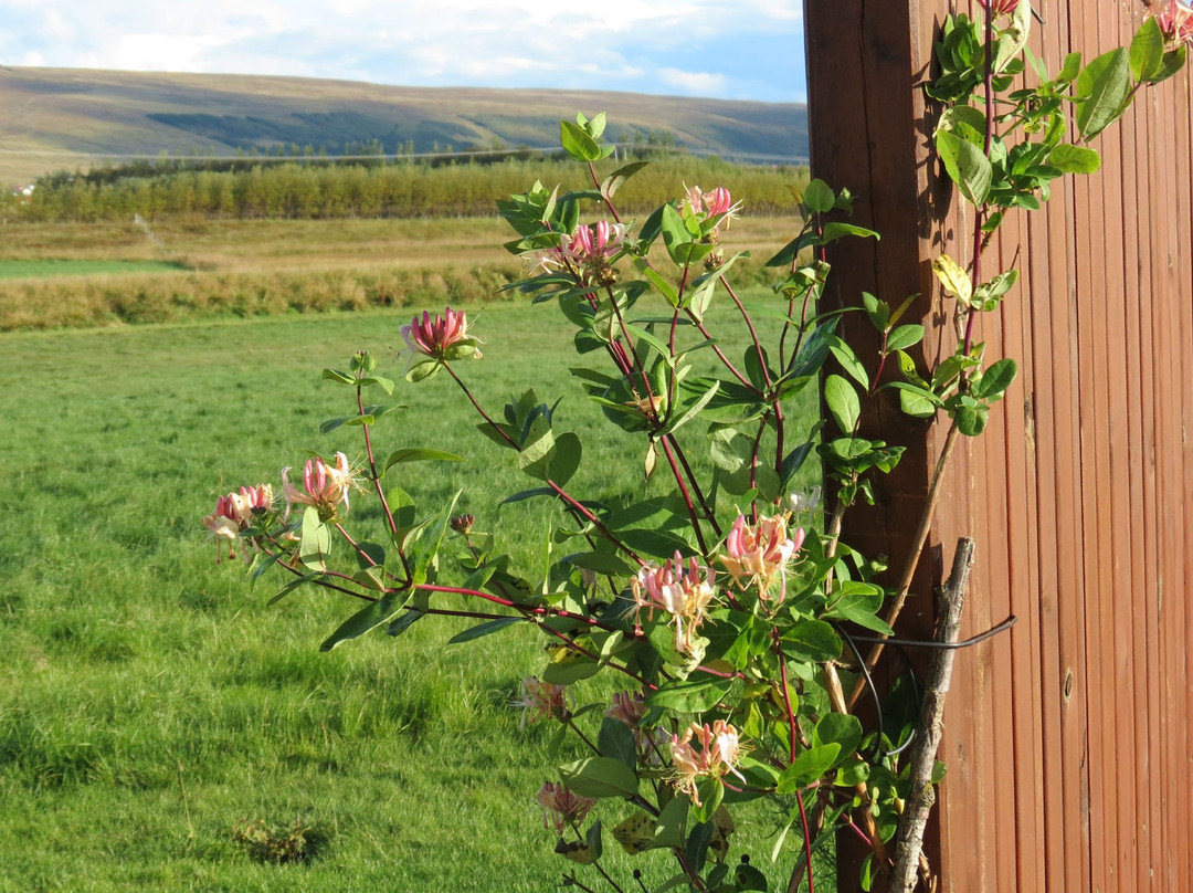 Vallakot Farm Guesthouse主图