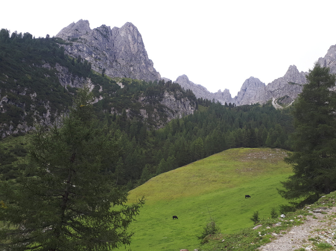 Hotel Lizumerhof主图