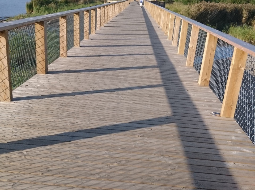 The Parnu Jetty-派尔努必去景点
