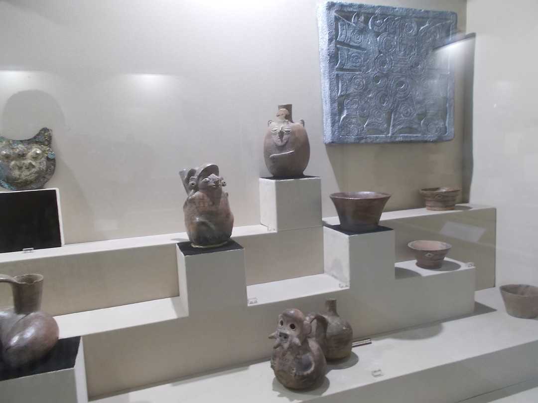 Museo de Historia del Arte - MuHAr景点图片