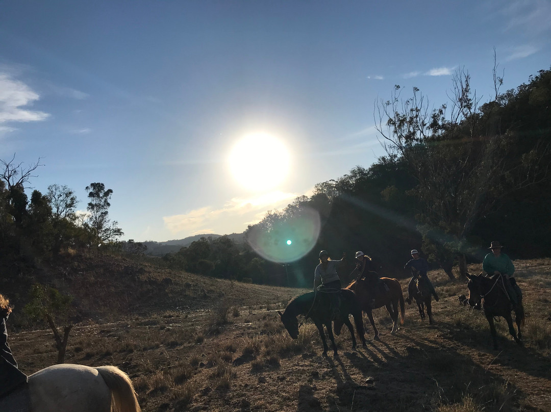 Leconfield-Mulla Creek必去景点