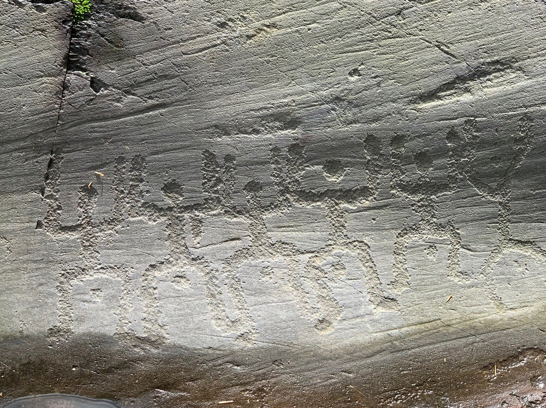 Riserva Naturale Incisioni Rupestri di Ceto Cimbergo e Paspardo景点图片