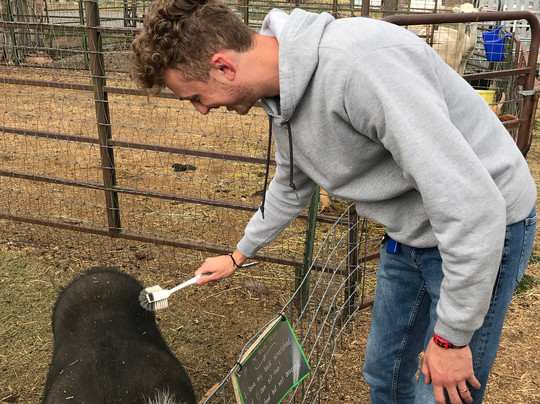 RunDown Ranch Kids Farm-Kamas必去景点