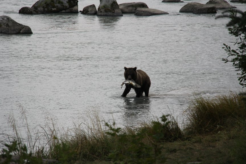 Haines Borough Public Library-海恩斯必去景点