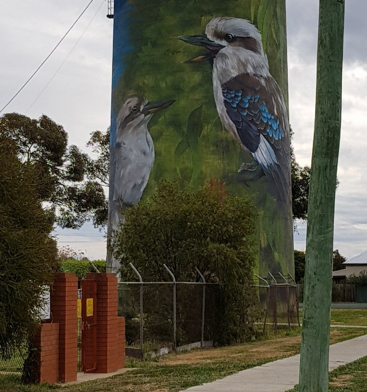 Deniliquin Water Tower Mural-Deniliquin必去景点