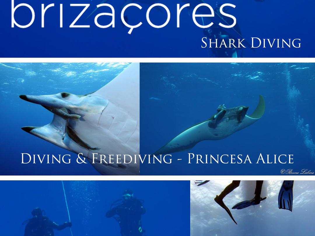 Brizaçores-Lajes do Pico必去景点