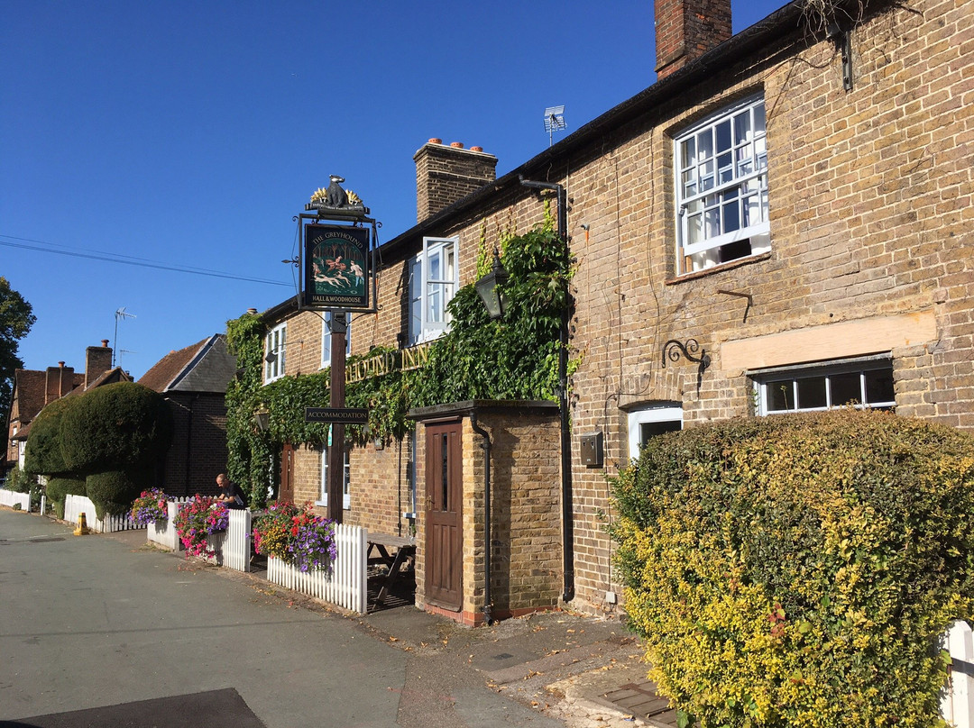 The Greyhound Inn主图